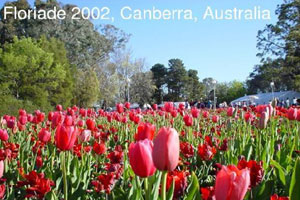 Подписанное фото с Floriade 2002