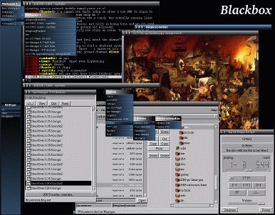 blackbox.jpg (36746 bytes)