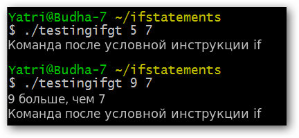 Исполнение команд после условной инструкции