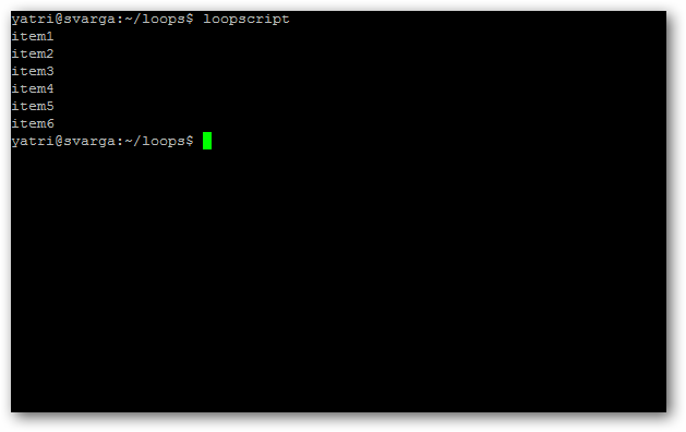 Вывод сценария loopscript