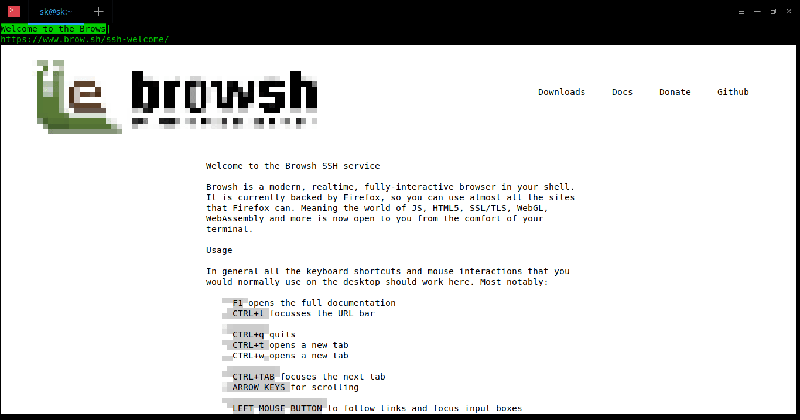 Live демо через SSH